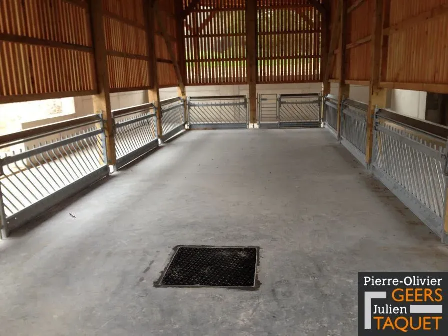 Polissage dalle en béton (7)webp