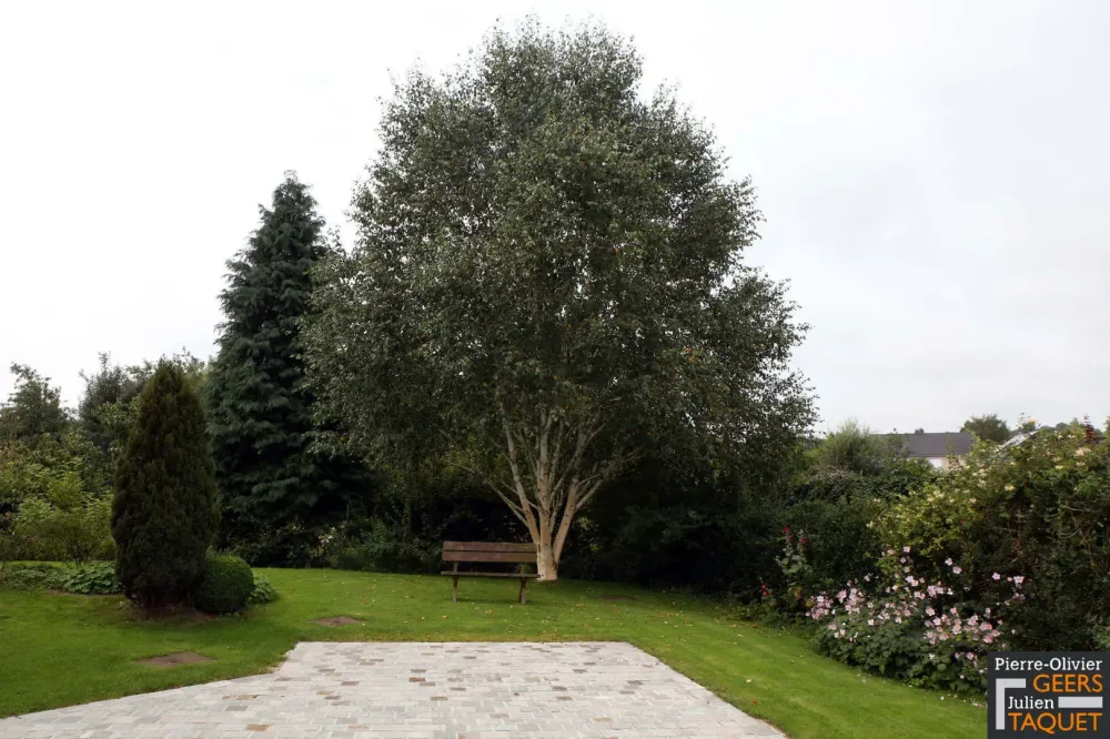 Terrassement, terrasses & pavages (34)